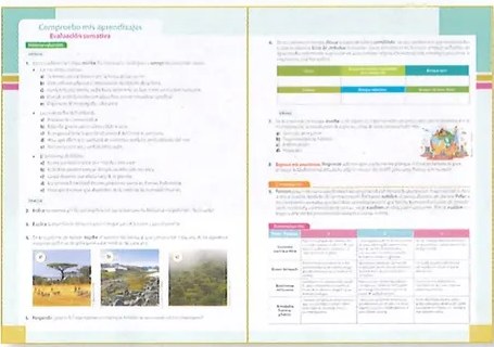 Figura 4 de Ciencias Naturales · 9 EGB · 2024