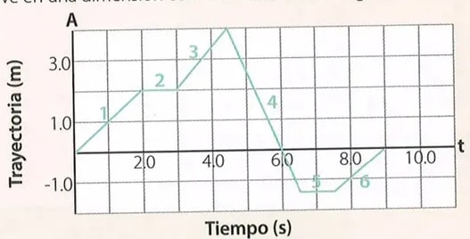 Figura 1 de Ciencias Naturales · 8 EGB · 2025