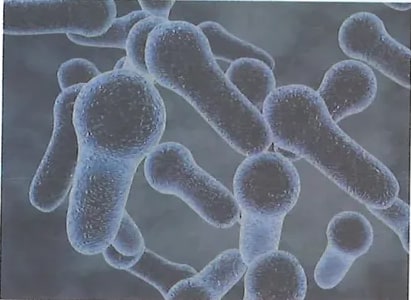 Figura 5 de Ciencias Naturales · 8 EGB · 2025