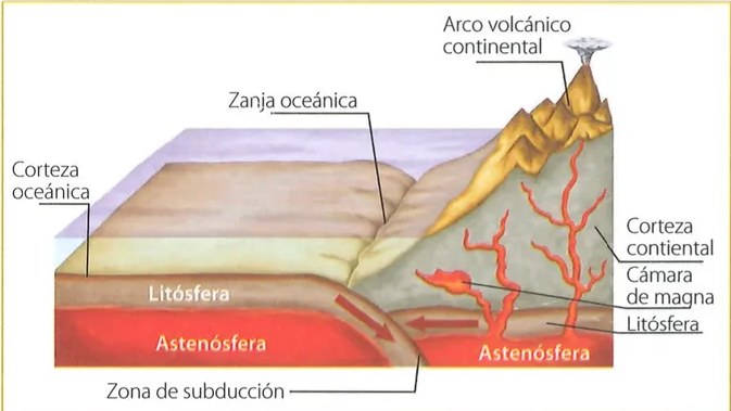 Figura 2 de Ciencias Naturales · 7 EGB · 2024