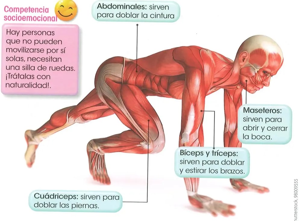 Figura 2 de Ciencias Naturales · 2 EGB · 2025