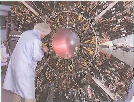Figura 2 de Ciencias Naturales · 8 EGB · 2025