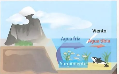 Figura 2 de Estudios Sociales · 8 EGB · 2024