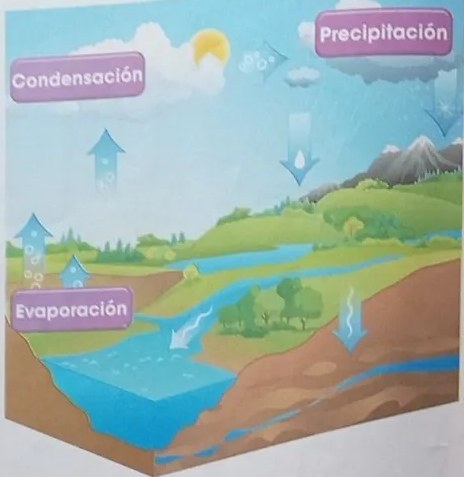 Tres recuadros explicativos: Evaporación, Condensación, Precipitación.