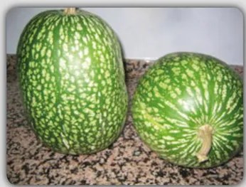 Fotografía de una rueca o callapa (kallapa), herramienta tradicional para enrollar lana al hilar.