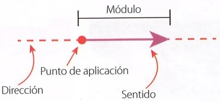 Figura 3 de Ciencias Naturales · 9 EGB · 2024