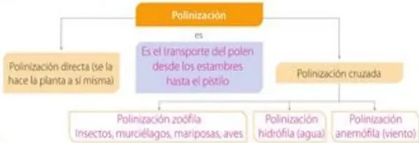 Figura 6 de Ciencias Naturales · 5 EGB · 2024