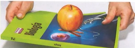 Figura 4 de Ciencias Naturales · 9 EGB · 2024