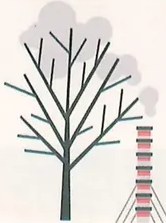 Figura 7 de Ciencias Naturales · 8 EGB · 2025