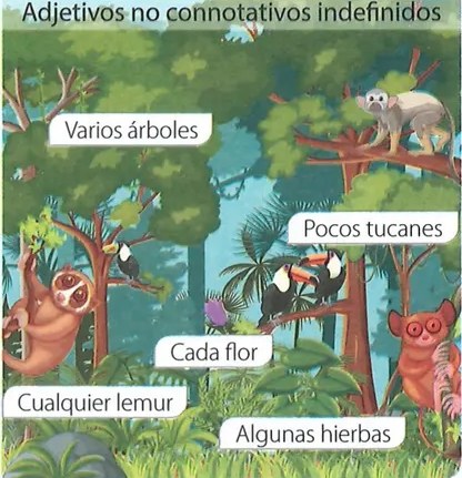 Figura 2 de Lengua Y Literatura · 7 EGB · 2024