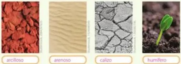 Figura 6 de Ciencias Naturales · 5 EGB · 2024