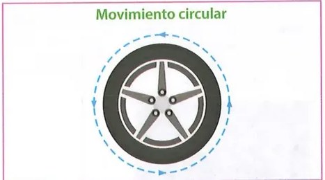 Figura 2 de Ciencias Naturales · 8 EGB · 2025