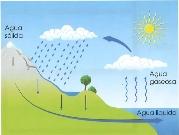 Figura 2 de Ciencias Naturales · 2 EGB · 2025