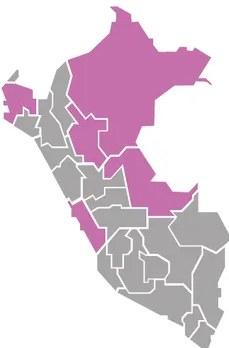 Figura 2 de Lenguas originarias del Perú · 2018