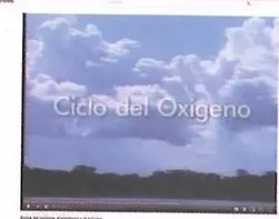 Figura 2 de Ciencias Naturales · 8 EGB · 2025