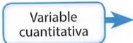 Figura 3 de Matematica · 8 EGB · 2025