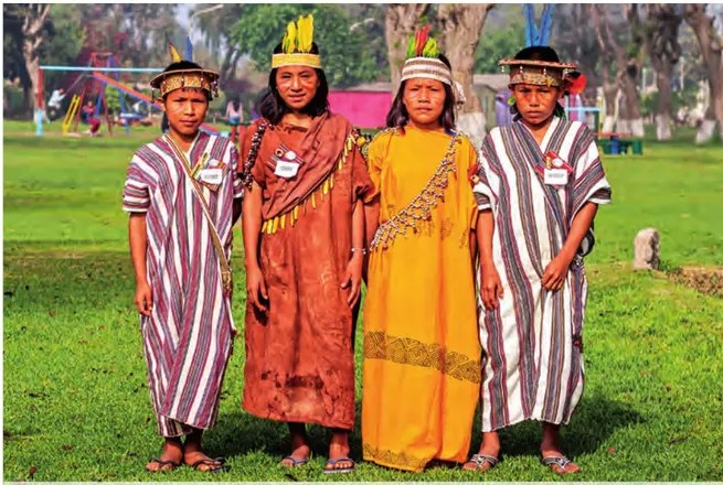 Figura 3 de Lenguas originarias del Perú · 2018