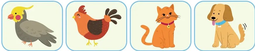 Ilustración de animales exóticos: mono, cabra/oveja, tortuga y cocodrilo.
