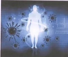 Figura 2 de Ciencias Naturales · 8 EGB · 2025