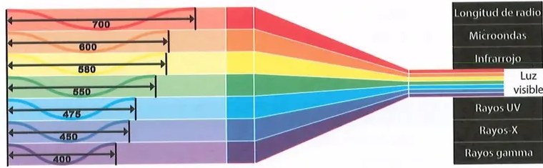 Figura 3 de Ciencias Naturales · 10 EGB · 2024