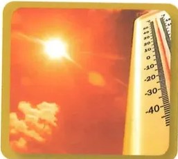 Figura 4 de Ciencias Naturales · 2 EGB · 2025