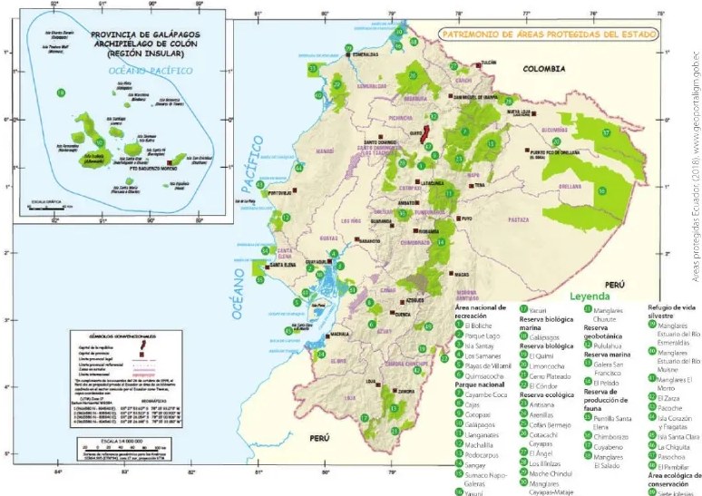 Figura 2 de Estudios Sociales · 6 EGB · 2025