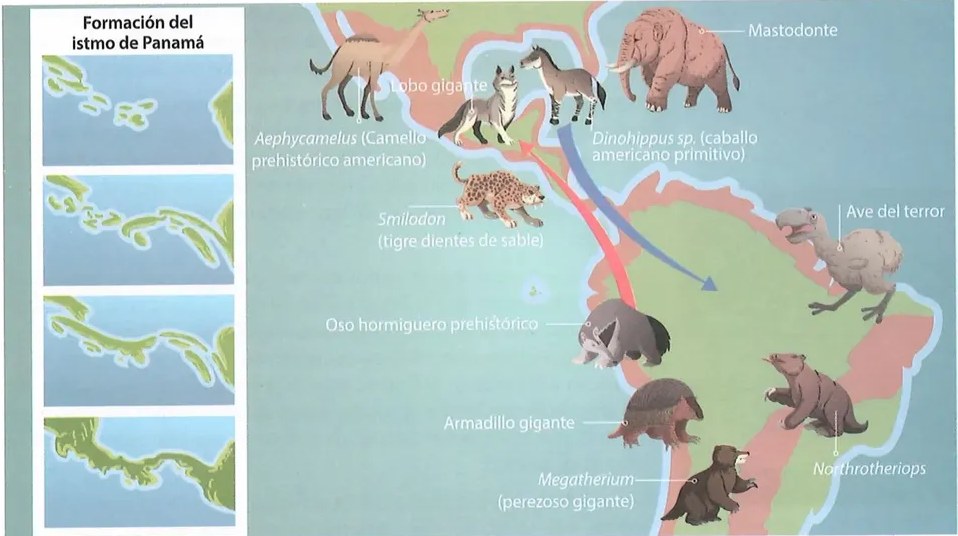Figura 2 de Ciencias Naturales · 10 EGB · 2024
