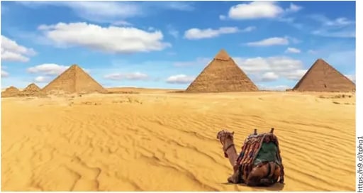 Pirámides de Giza con un camello en primer plano y cielo azul.