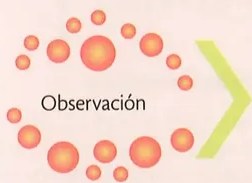 Figura 4 de Ciencias Naturales · 8 EGB · 2025