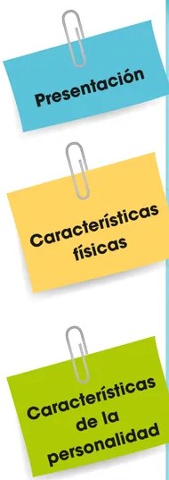 Ícono de niño leyendo (imagen de estudiante) que acompaña la instrucción de la actividad 1.