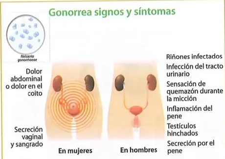 Figura 1 de Ciencias Naturales · 8 EGB · 2025