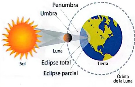 Figura 4 de Ciencias Naturales · 4 EGB · 2025