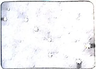 Figura 2 de Lengua Y Literatura · 4 EGB · 2024