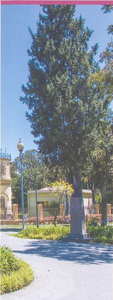 Figura 2 de Matematica · 9 EGB · 2025