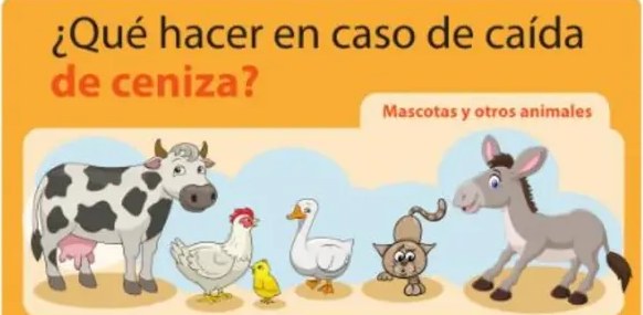 Figura 4 de Lengua Y Literatura · 5 EGB · 2024
