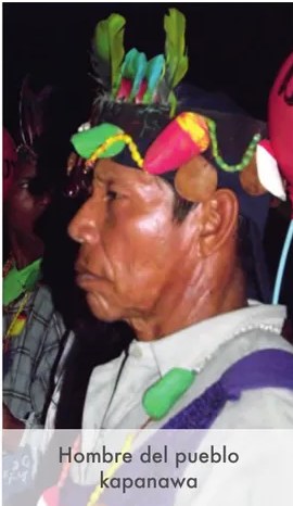 Figura 2 de Lenguas originarias del Perú · 2018