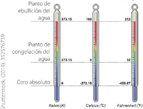Figura 1 de Ciencias Naturales · 6 EGB · 2025