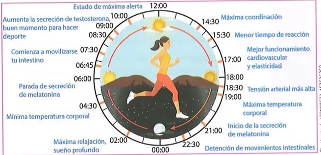 Figura 1 de Ciencias Naturales · 8 EGB · 2025