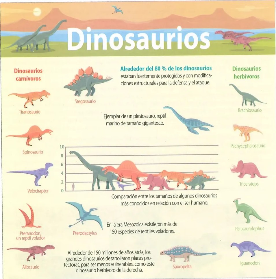 Figura 3 de Ciencias Naturales · 10 EGB · 2024