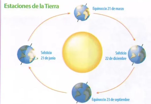 Figura 3 de Ciencias Naturales · 8 EGB · 2025