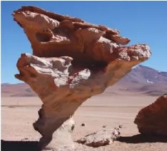 Figura 3 de Ciencias Naturales · 6 EGB · 2025