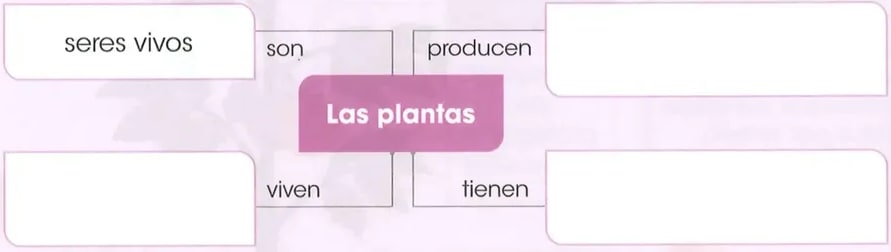 Figura 1 de Ciencias Naturales · 2 EGB · 2025
