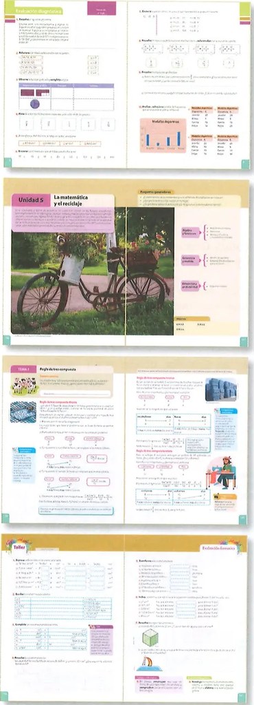 Figura 2 de Matematica · 7 EGB · 2024