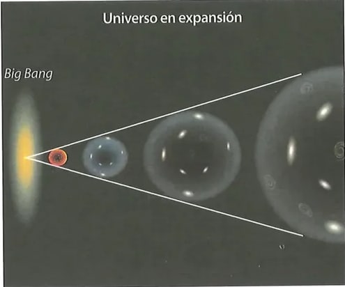 Figura 1 de Ciencias Naturales · 8 EGB · 2025