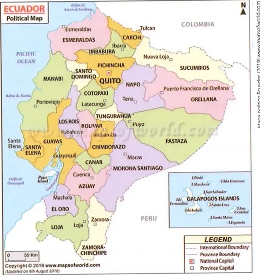 Figura 1 de Matematica · 8 EGB · 2025