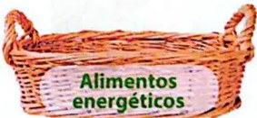Figura 2 de Ciencias Naturales · 4 EGB · 2025