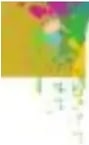 Figura 1 de Matematica · 5 EGB · 2025
