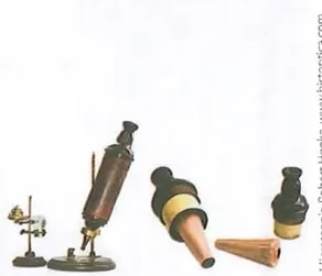 Figura 4 de Ciencias Naturales · 8 EGB · 2025