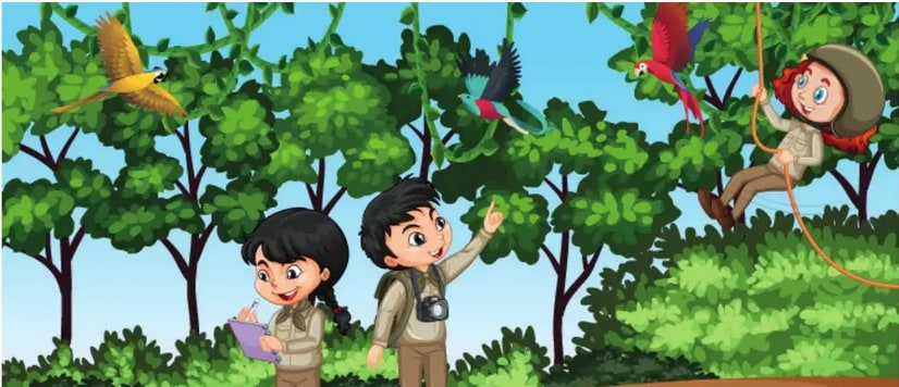Ilustración de los amigos observando aves coloridas (loros amarillo-azul, colibríes y guacamayas rojas) en la selva mientras una niña se descuelga de una liana.