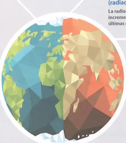 Figura 4 de Ciencias Naturales · 8 EGB · 2025